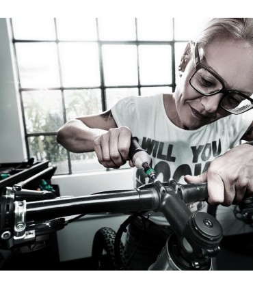 Wera 7443 4,0-8,8Nm Torklu Tornavida 05074705001