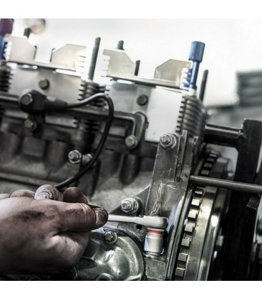 Wera 8767 A HF Zyklop 1/4" Lokma Torx Bits 100mm TX40 05003372001