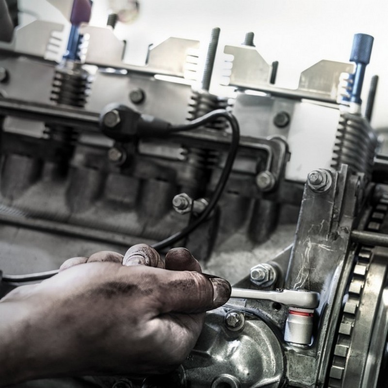 Wera 8790 HMA Zyklop 1/4" Deep Lokma 50x11mm 05004508001