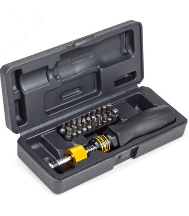 Netratek STK-035 1-3.5Nm 1/4" Tork Ayarlı Tornavida Seti 21P