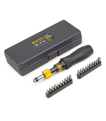 Netratek STK-100 5-10Nm 1/4" Tork Ayarlı Tornavida Seti 21P ±%6