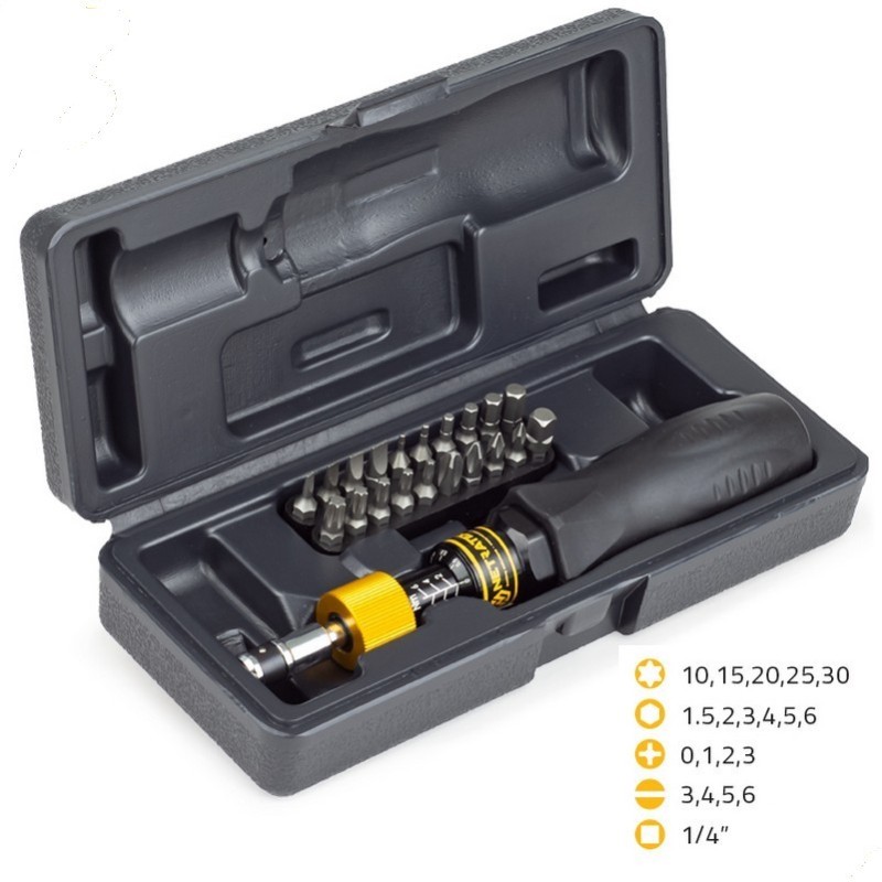 Netratek STK-060 1-6Nm 1/4" Tork Ayarlı Tornavida Seti 21P