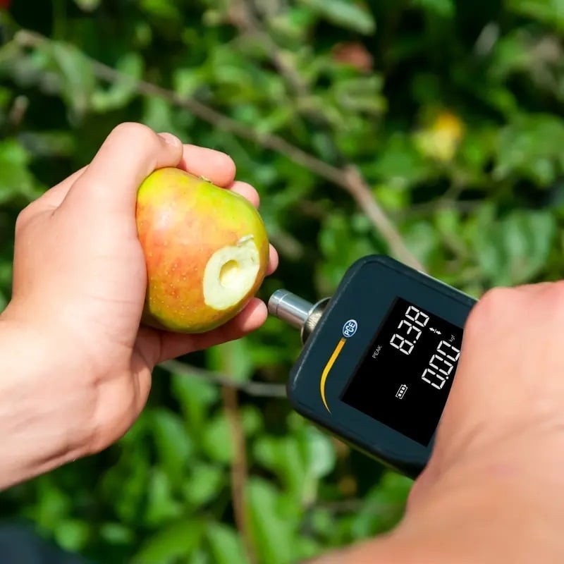 PCE Instruments Kuvvet Ölçüm Cihazı (Penetrometre) PCE-PTR 200N