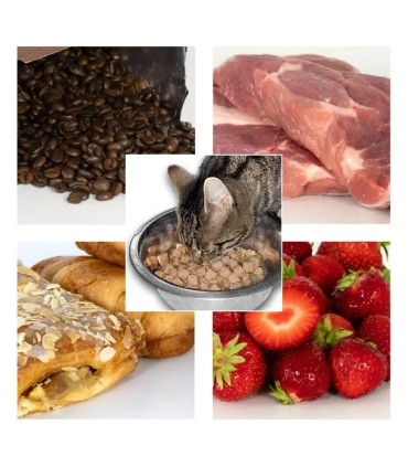 PCE Instruments AW-Su Aktivitesi Ölçüm Cihazı PCE-WAM 60